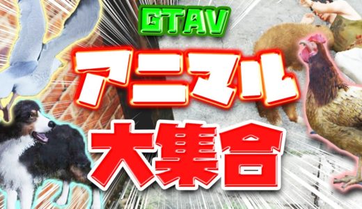 【GTA】犬にカモメにニワトリまで!!動物大集合のハロウィンイベント!!【MSSP/M.S.S Project】