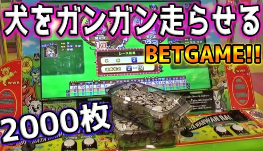 時代は犬。ワンワンレースで10000円分のメダルを増やすことができるのか？？【メダルゲーム】