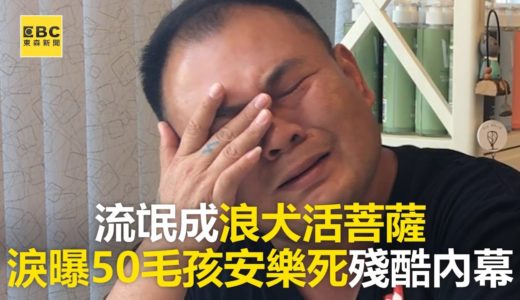 【良心救浪浪】流氓成浪犬活菩薩 淚曝50毛孩安樂死殘酷內幕