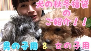 [ 犬の福袋 ] IDOG 秋冬お楽しみ袋が可愛いかった！