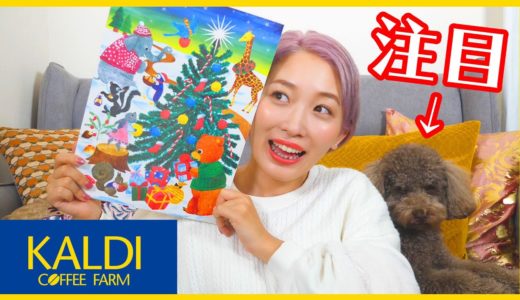 クリスマス☆カルディ購入品紹介!!〜犬が気になって内容入ってこないと思います〜