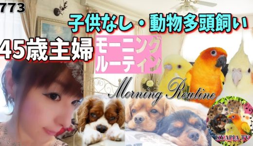 【モーニングルーティン】主婦 45歳 子なし 犬とインコママ  平日の朝773 Morning Routine,Japanese housewife,Japan