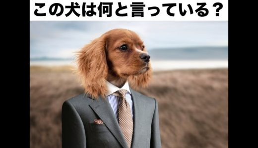 【日本唯一!?】驚異の犬縛り！犬大喜利対決で珍回答！