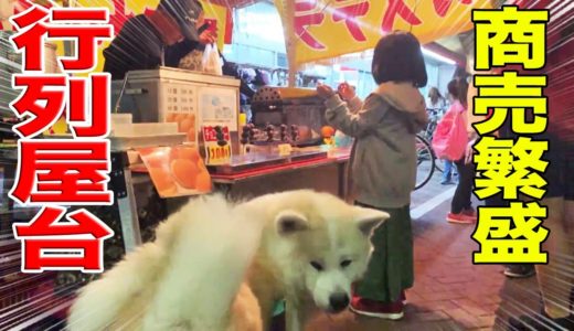 行列出来ます！大型犬のアルバイト風景♪熊野前縁日・夜店・ベビーカステラの巻a fair stall