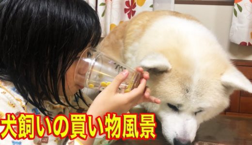 大型犬の食材選び・犬飼いの買い物風景紹介We feed our dog three times a day