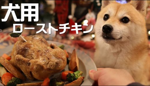 犬用丸鶏のプレミアムローストチキンが絶品だった！！