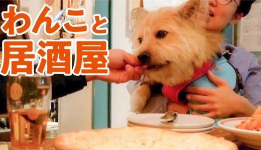 犬と入れる居酒屋に行った結果…