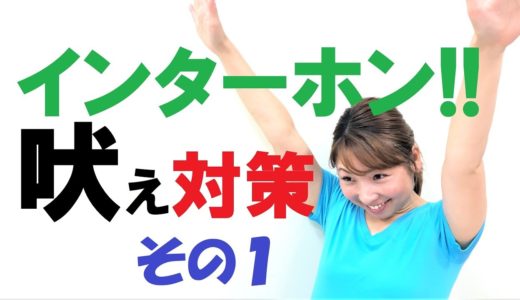 インターホンに吠える！対処法その１【犬のしつけ＠横浜】by遠藤エマトレーナー