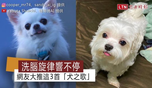 洗腦旋律響不停 網友大推這3首「犬之歌」