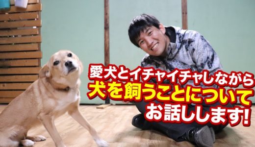 愛犬とイチャイチャして癒してもらいながら犬を飼うということについてお話します！