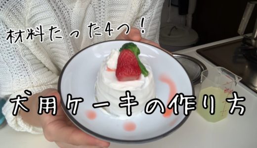 簡単！犬ケーキの作り方