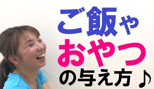 ご飯やおやつの量や与え方！犬ならではの欲求満たしていますか？その４【犬のしつけ＠横浜】by遠藤エマトレーナー