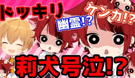 【検証ドッキリ】心霊現象ドッキリをした結果WWWW【すとぷり】【莉犬×るぅと】