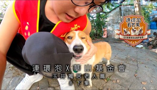 [華山基金會][公益犬出任務] 玉井的獨居老人#下集