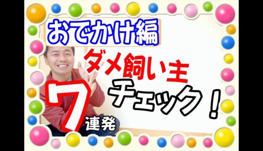 犬のしつけ【（おでかけ編）あなたは大丈夫!?ダメ飼い主にならないための大切な７つのポイント】を園長が解説します♪　～犬のしつけ・ドッグトレーニング～