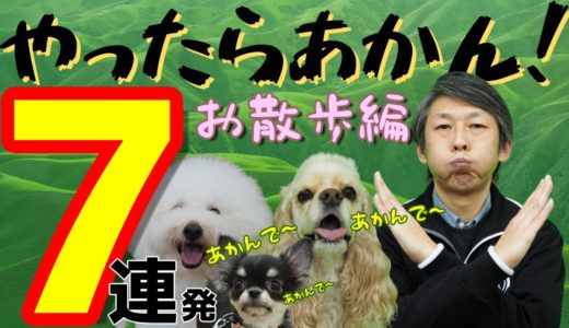 犬の散歩でやったらあかん！7連発！