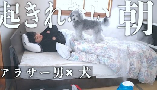 🐶犬とアラサー男　起きれない朝の葛藤ルーティン【トイプードルのグリィ】【犬】【dog】【toy poodle】