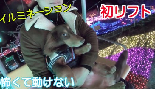 犬も乗れるリフト！怖くて１ミリも動けなくなるミニチュアダックス【相模湖リゾートプレジャーフォレスト】