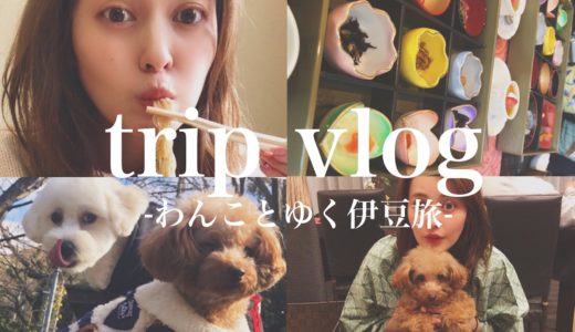 【trip vlog】女子旅とお犬と伊豆旅行(癒されてわん)