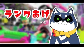 【スプラトゥーン2】ランク上げイカ犬【黒井しば/にじさんじ】