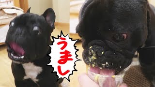 むつみ庵で犬も人も朝食♪犬ケーキが顔中にデロリw　愛犬と伊豆旅行II⑤