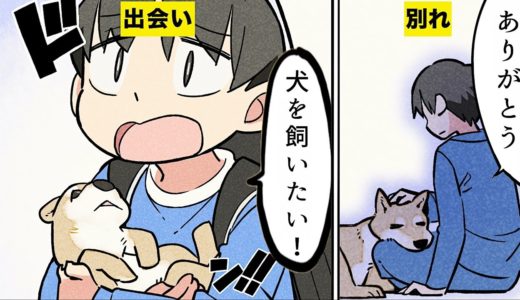 【漫画】犬を飼うとどうなるのか？【マンガ動画】