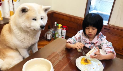 秋田犬そうすけ・孫達の作る料理が気になります！Cooking made by grandchildren