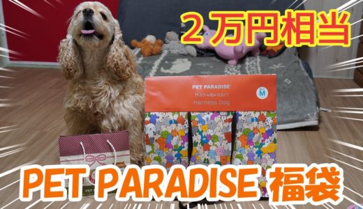 2020年PET PARADISE犬用福袋を開封したら中身が凄すぎた！！！