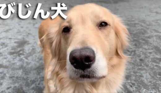 おすわり！なかなかしてくれない女子犬