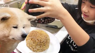 焼き飯！秋田犬そうすけ・孫娘の料理の審査員で忙しいです・Cooking made by grandchildren