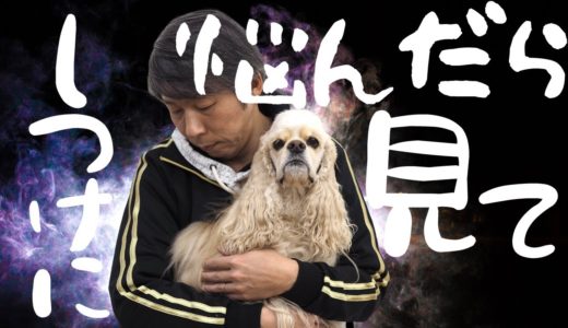 犬のしつけで悩んでいる飼い主さんへ。ゆっくりのんびりご覧ください。