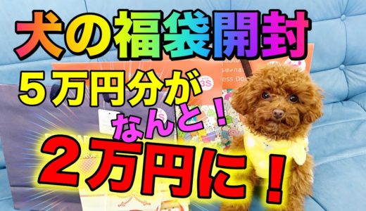 【2020犬の福袋】ペットパラダイスの福袋を開封したら衝撃すぎた！