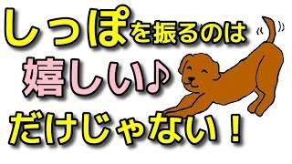 【犬 しつけ】しっぽを振るのは喜んでいると思ってませんか？【犬のしつけ＠横浜】byドッグトレーナー遠藤エマ