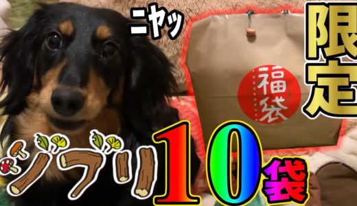 笑う犬と18,000円で25,000円分のお得福袋開封してみたら意外なお得なもの入ってたｗｗｗ