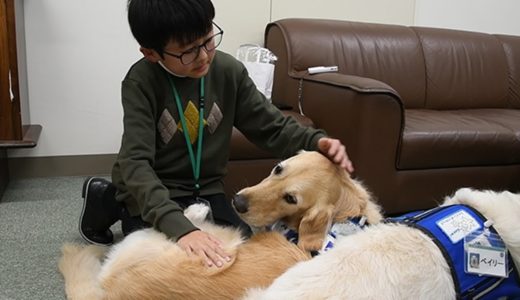 闘病小学生「病院に犬を」　院長への手紙につづった思い　ファシリティードッグと対面