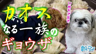 ギョウザ200個をひたすら包むカオス一族【犬はヒマ2020】Let’s Family Cooking!