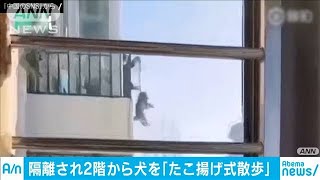 2階から犬を「たこあげ式散歩」新型コロナで苦肉策(20/02/22)