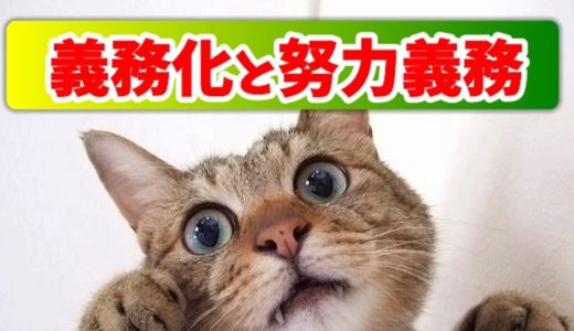 犬猫マイクロチップ義務化【改正動物愛護法】ペットを守るのは飼い主の責任