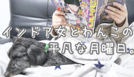 【日常】インドア女とわんこの平凡な日常【見たら犬と暮らしたくなります】