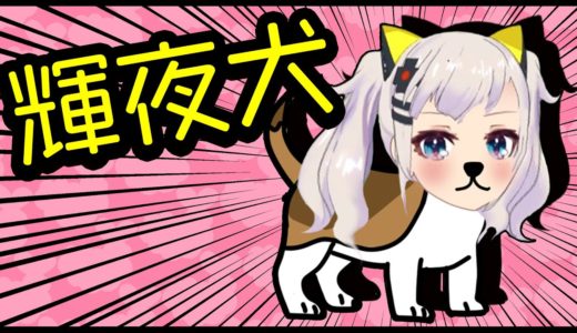 【かわいい】犬とか猫とか月ちゃんの動画【癒し】