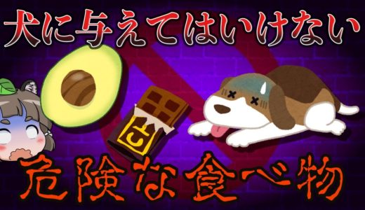 【ゆっくり解説】絶対NG！犬に食べさせてはいけない危険な食べ物