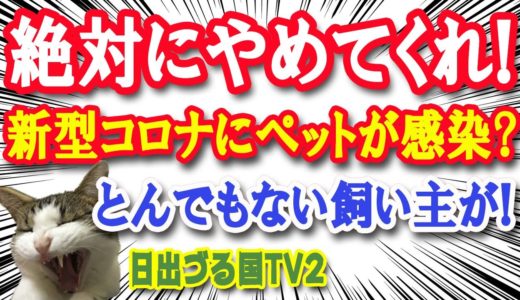 新型コロナに犬や猫も感染？したと、とんでもない事をする飼い主らが…！飼う資格なんか無い！【日出づる国TV2】