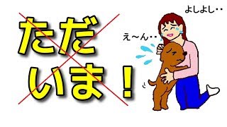 【犬 留守番】帰宅したらすぐ構っちゃいけないの？【犬のしつけ＠横浜】byドッグトレーナーエマ