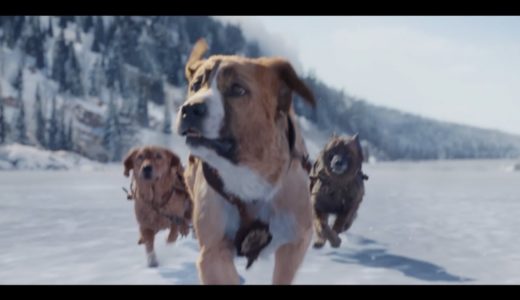 賢すぎる犬vs雪崩！映画『野性の呼び声』本編映像