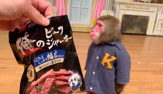 犬と仲良しのお猿さんならジャーキー食べるんじゃね？