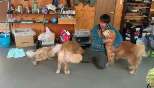 無言でカメラを回すとうちのユーチューバー犬はなにを始めるのか観察してみました