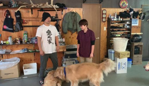 犬（動物）がかわいそう！自然に返そう！肉食べるな！な人たちの話を獣医師としてみる