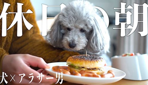 🐶昨夜買ったハンバーガーを蘇生する　犬とアラサー独身男の休日モーニングルーティン【トイプードルのグリィ】【犬】【dog】【toy poodle】