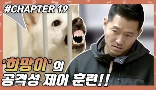 CHAPTER 19 | 강형욱, 으르렁犬과 숨 막히는 대치… #강형욱 #개통령 #개훈련사 [개는 훌륭하다]