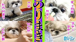 シーズー犬とのりまきを作ろう【節分2020田舎編】How to make Ehomaki.